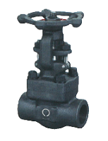 Forged carbon steel valve