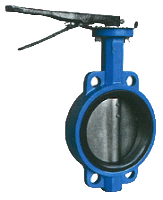 Wafer type butterfly valve